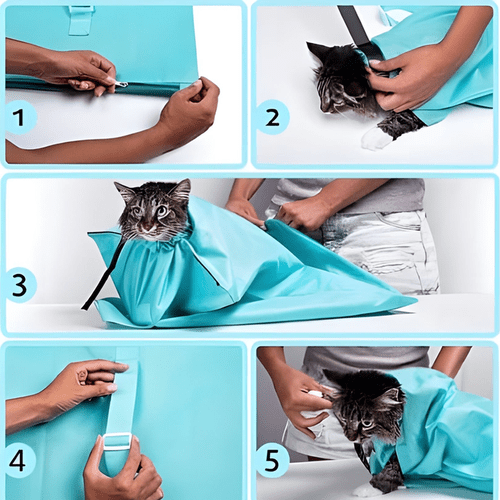 Bolso de Transporte para Gatos - Pets & Drive