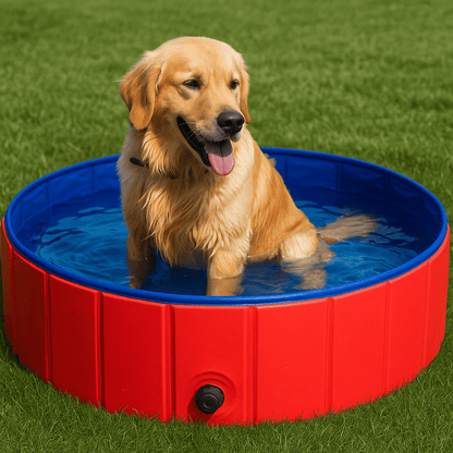 Piscina Plegable Para Mascota 80x20 cm - Pets & Drive