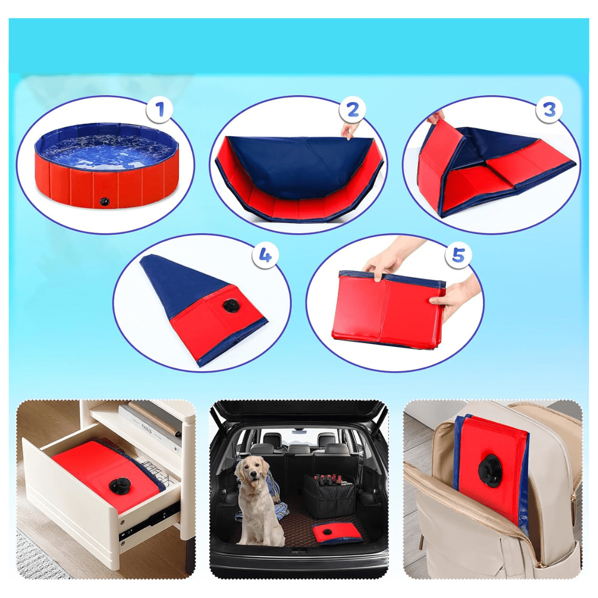 Piscina Plegable Para Mascota 80x20 cm - Pets & Drive